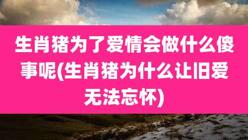 生肖猪为了爱情会做什么傻事呢(生肖猪为什么让旧爱无法忘怀)