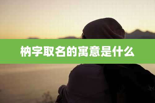 枘字取名的寓意是什么