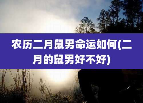 农历二月鼠男命运如何(二月的鼠男好不好)