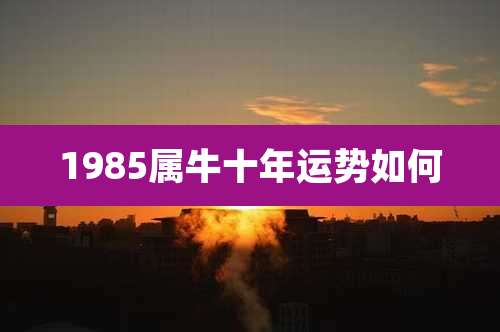 1985属牛十年运势如何