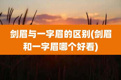剑眉与一字眉的区别(剑眉和一字眉哪个好看)