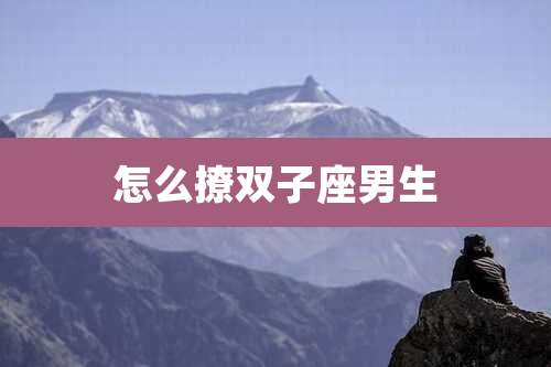 怎么撩双子座男生