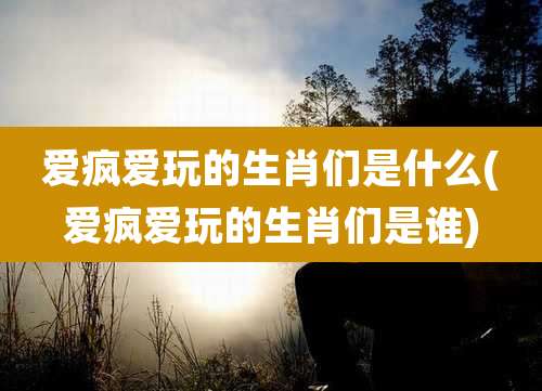 爱疯爱玩的生肖们是什么(爱疯爱玩的生肖们是谁)