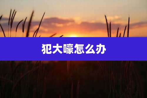 犯大嚎怎么办