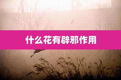什么花有辟邪作用