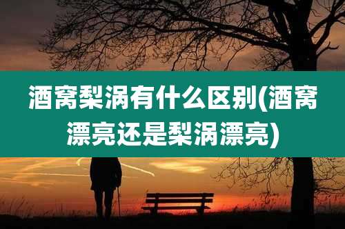 酒窝梨涡有什么区别(酒窝漂亮还是梨涡漂亮)