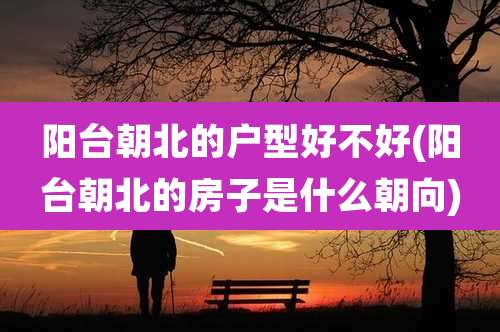阳台朝北的户型好不好(阳台朝北的房子是什么朝向)