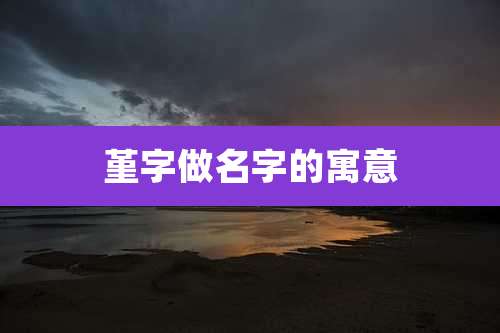 堇字做名字的寓意