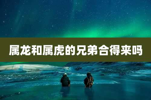 属龙和属虎的兄弟合得来吗