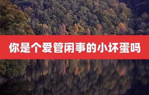 你是个爱管闲事的小坏蛋吗