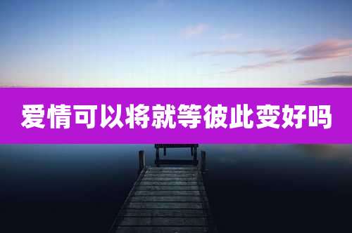 爱情可以将就等彼此变好吗