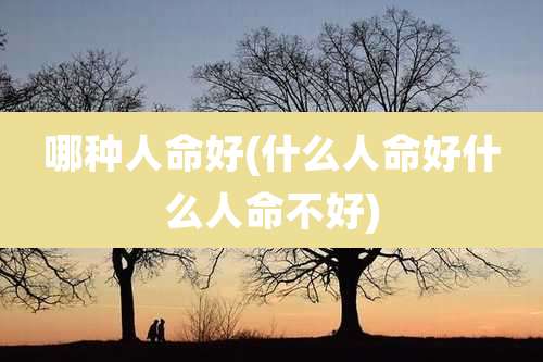 哪种人命好(什么人命好什么人命不好)