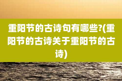 重阳节的古诗句有哪些?(重阳节的古诗关于重阳节的古诗)