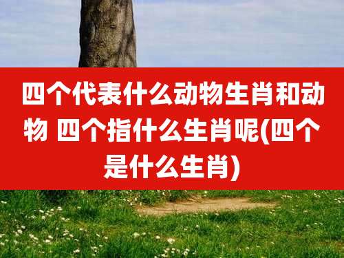 四个代表什么动物生肖和动物 四个指什么生肖呢(四个是什么生肖)