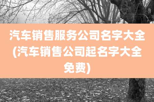 汽车销售服务公司名字大全(汽车销售公司起名字大全免费)