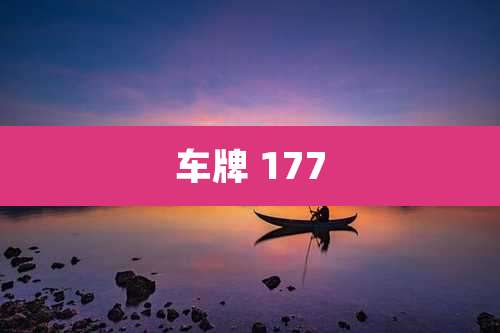 车牌 177