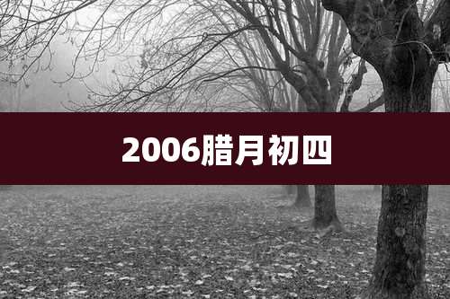 2006腊月初四
