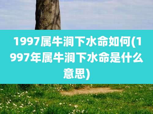 1997属牛涧下水命如何(1997年属牛涧下水命是什么意思)