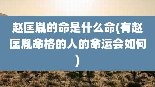 赵匡胤的命是什么命(有赵匡胤命格的人的命运会如何)