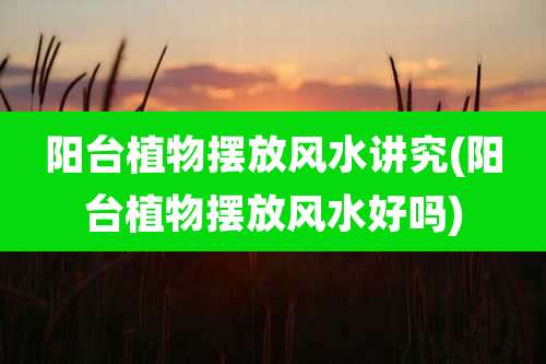 阳台植物摆放风水讲究(阳台植物摆放风水好吗)