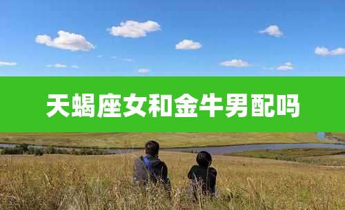 天蝎座女和金牛男配吗