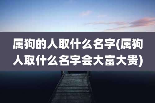 属狗的人取什么名字(属狗人取什么名字会大富大贵)