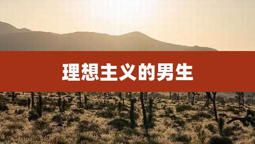 理想主义的男生