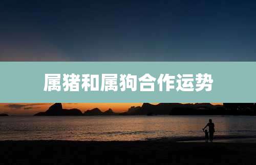 属猪和属狗合作运势