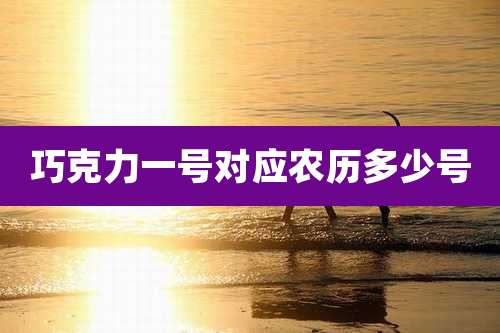 巧克力一号对应农历多少号