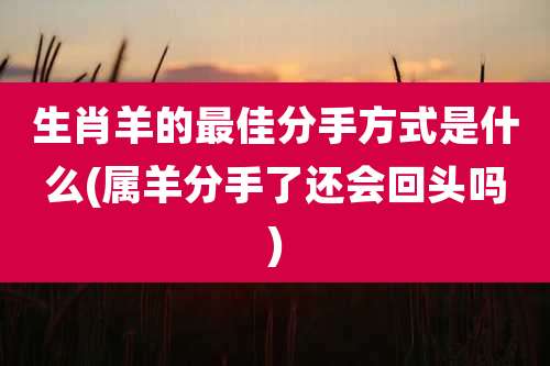生肖羊的最佳分手方式是什么(属羊分手了还会回头吗)