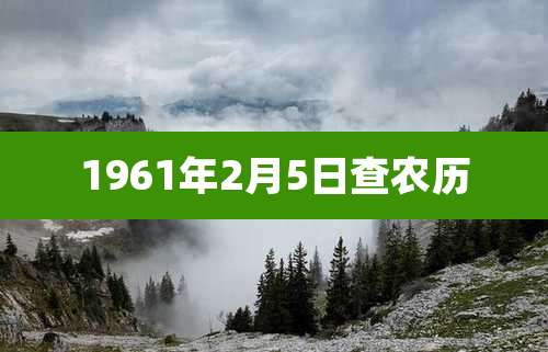 1961年2月5日查农历