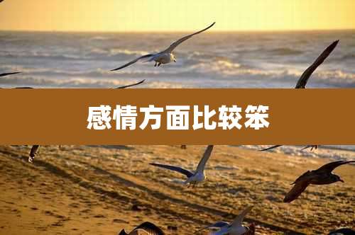 感情方面比较笨