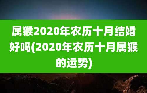 属猴2020年农历十月结婚好吗(2020年农历十月属猴的运势)