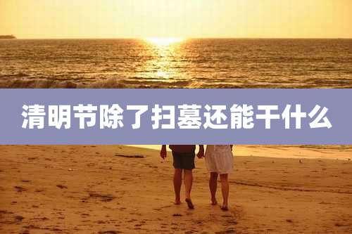 清明节除了扫墓还能干什么