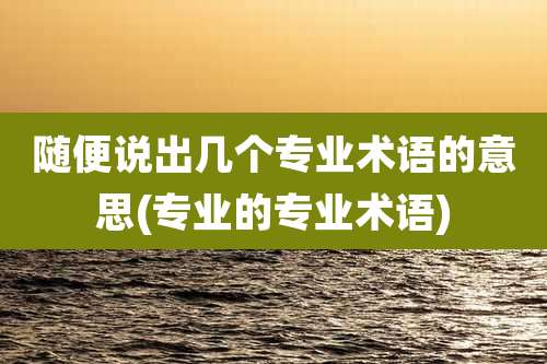 随便说出几个专业术语的意思(专业的专业术语)