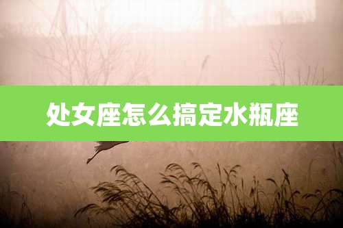 处女座怎么搞定水瓶座