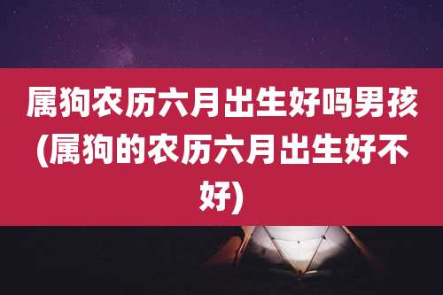 属狗农历六月出生好吗男孩(属狗的农历六月出生好不好)