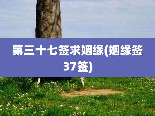 第三十七签求姻缘(姻缘签37签)