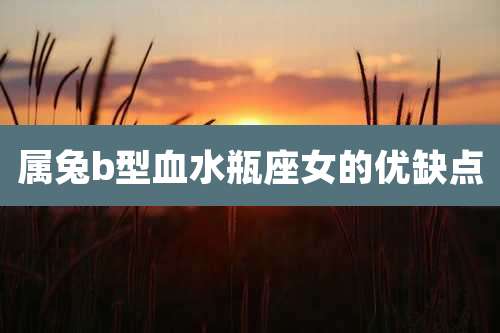 属兔b型血水瓶座女的优缺点