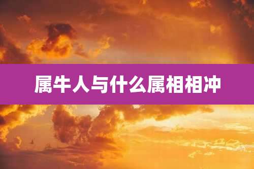 属牛人与什么属相相冲