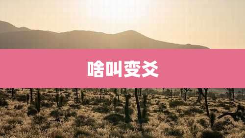 啥叫变爻