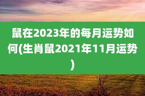 鼠在2023年的每月运势如何(生肖鼠2021年11月运势)
