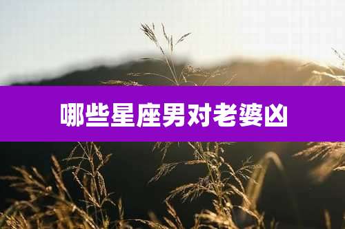 哪些星座男对老婆凶