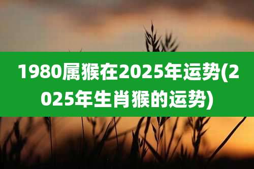 1980属猴在2025年运势(2025年生肖猴的运势)