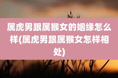 属虎男跟属猴女的姻缘怎么样(属虎男跟属猴女怎样相处)