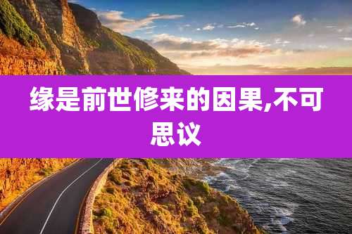 缘是前世修来的因果,不可思议