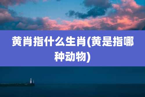 黄肖指什么生肖(黄是指哪种动物)