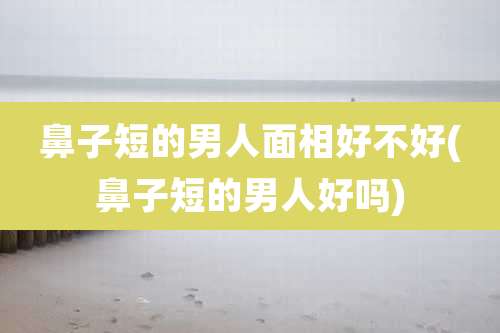 鼻子短的男人面相好不好(鼻子短的男人好吗)