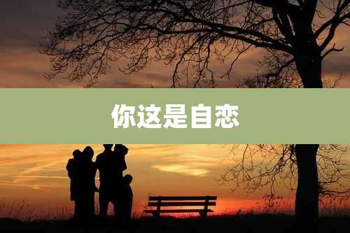 你这是自恋
