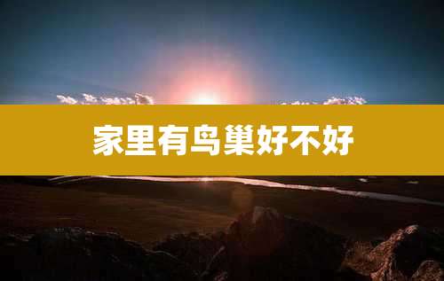 家里有鸟巢好不好